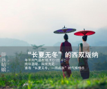 效果图